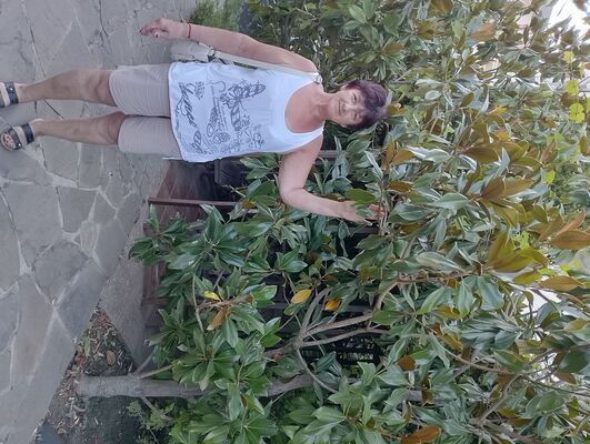  ,   , 65 ,     , c 