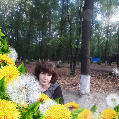  ,   , 63 ,   ,   