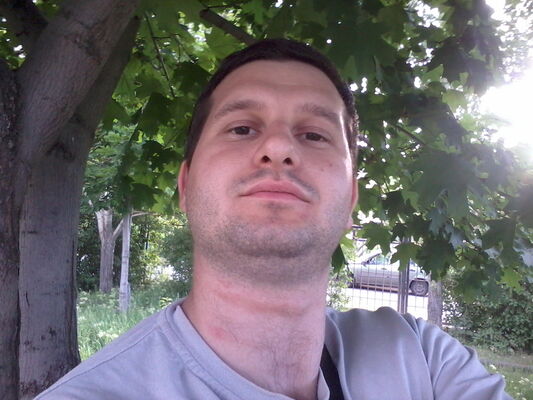  ,   , 41 ,  