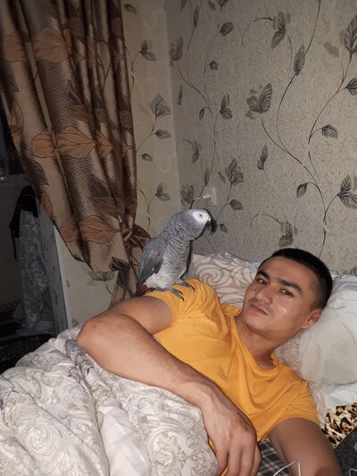  -,   Azik, 30 ,   ,   