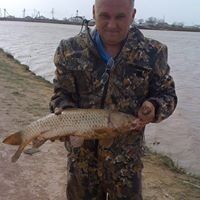  ,   , 59 ,   