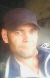  -,   , 41 ,   