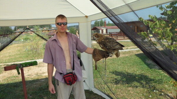 ���������� ������, ���� ������� �����, 44 ����, ������������ ��� ������