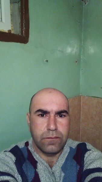  ,   Fox, 48 ,   ,   , c , 