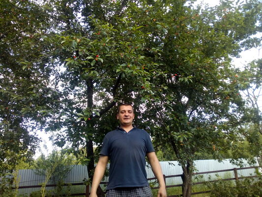  ,   , 41 ,   