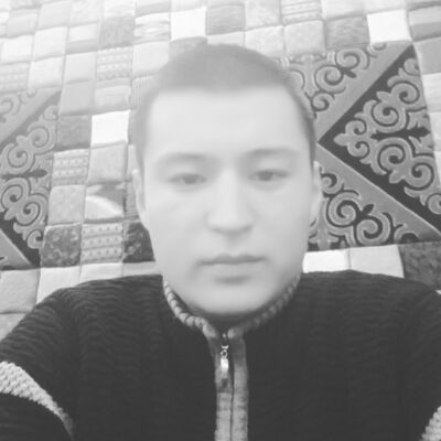  ,   Shurik, 33 ,   ,   , c 