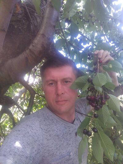  -,   SV, 40 ,   ,   , c , 