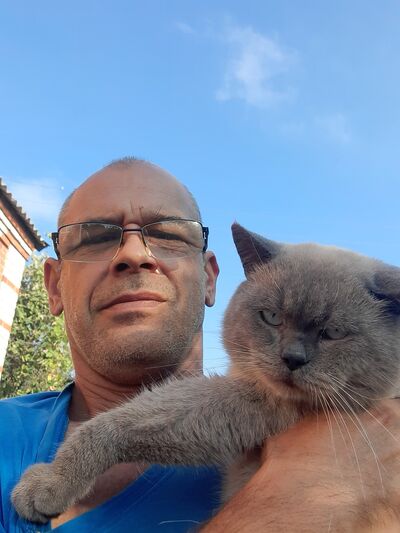  ,   , 51 ,   ,   