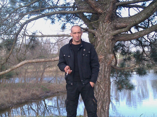  ,   , 46 ,   