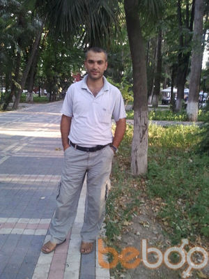  ,   Elman, 43 ,   