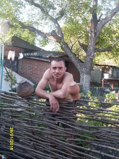  ,   , 44 ,   