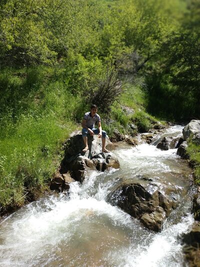  ,   Dostonchik, 34 ,   ,   , c 