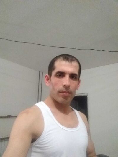  --,   Bobo, 38 ,   ,   