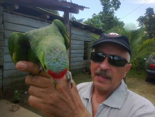  ,   Valera, 64 ,   ,   , c , 