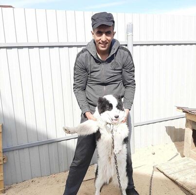  ,   Nurik, 33 ,   ,   