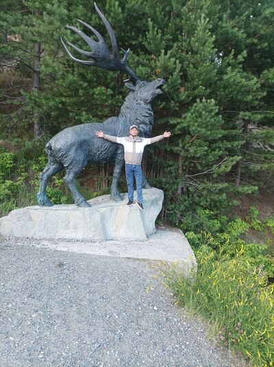  -,    , 36 ,   ,   , c , 