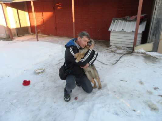  ,   , 51 ,   ,   , c 