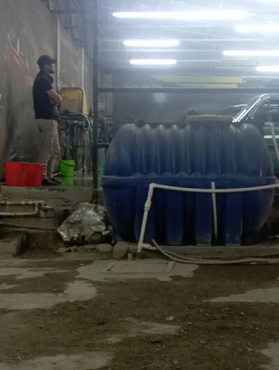  ,   Hurshid, 35 ,   ,   
