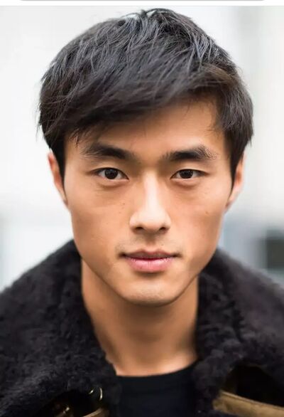  ,   Li, 33 ,   