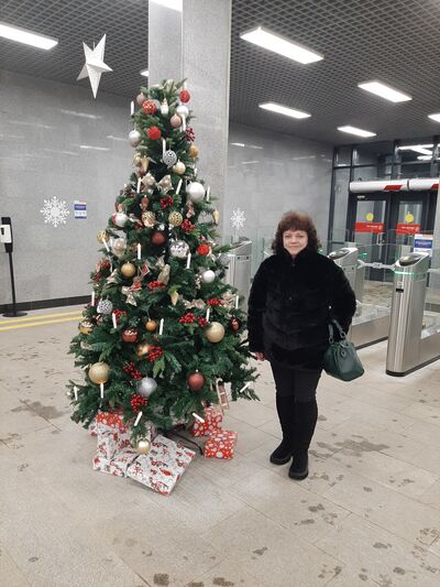  ,   , 55 ,   ,   
