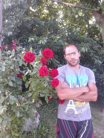  ,   , 43 ,   