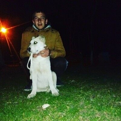  ,   Nikita, 28 ,   ,   , c 