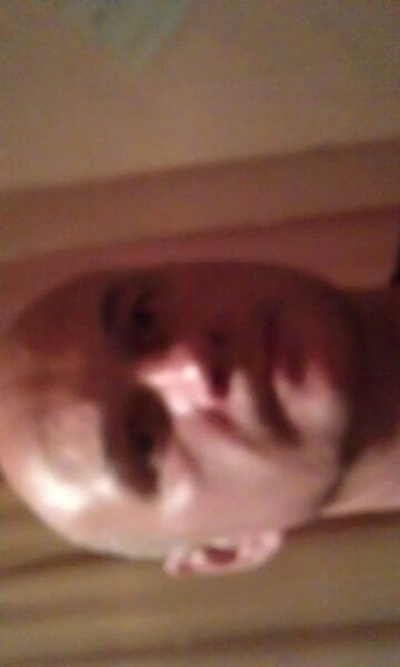  ,   Eduard, 52 ,   c 
