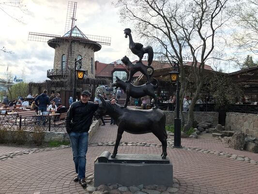  -,   , 41 ,     , c 