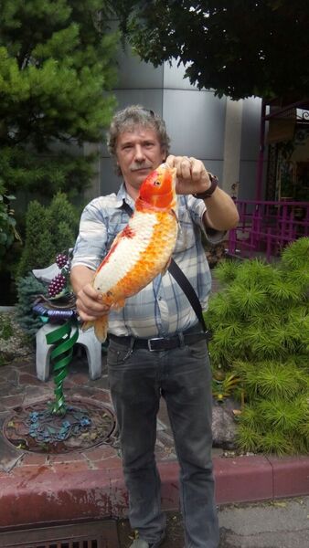  ,   , 55 ,   ,   , c , 