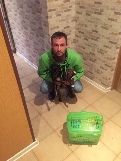  -,   , 37 ,   ,   , c 