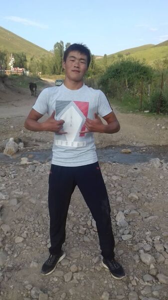  -,   , 24 ,   ,   , c , 