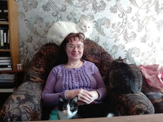   ,   , 61 ,   ,   