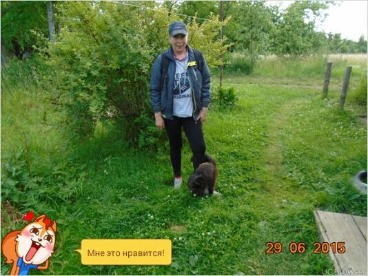  ,   Lysia, 54 ,   