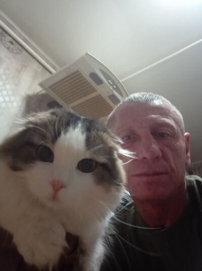  ,    , 46 ,   ,   , c , 