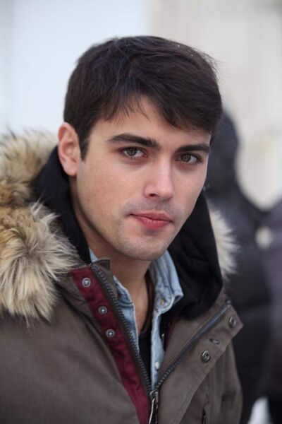  ,   Bear, 40 ,   ,   , c , 