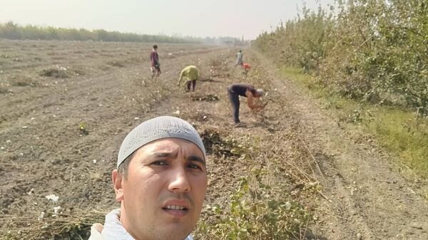  ,   Behryz, 39 ,   ,   , c 