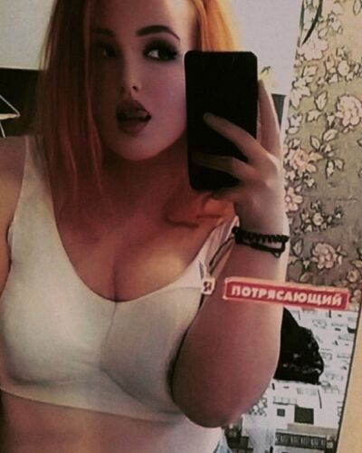  ,   Sofa, 23 ,   , 