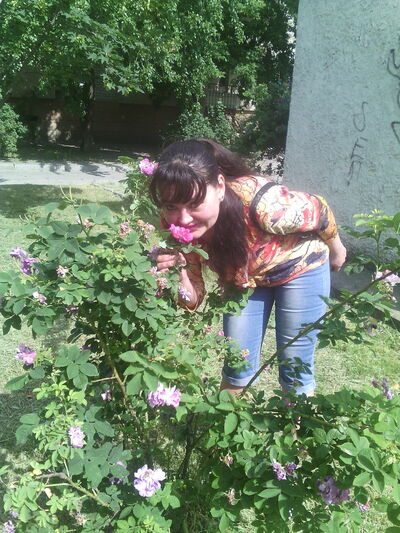  ,   , 51 ,     , c 