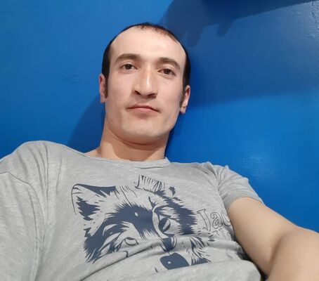  ,   , 33 ,  