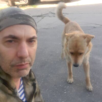 ,   , 53 ,   c 