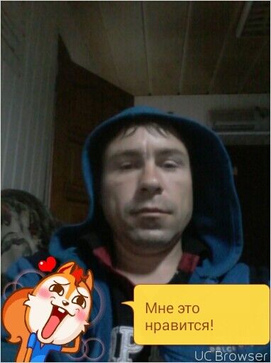  ,   , 43 ,  
