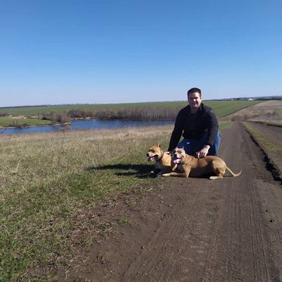  ,   Bogdan, 32 ,   ,   , c 