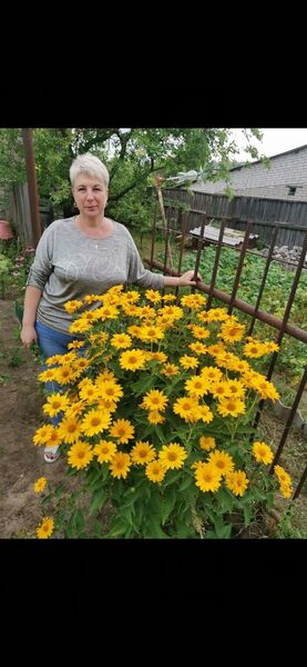  ,   , 51 ,   , 