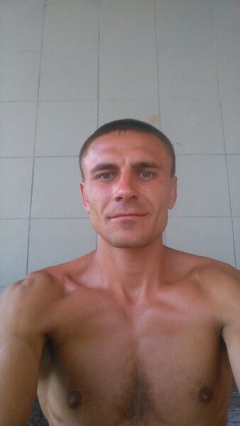  ,    , 41 ,  