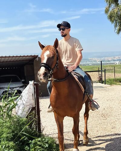  ,   Murat, 24 ,   ,   