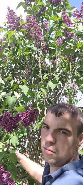  ,   Grisha, 26 ,     , c 