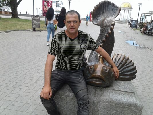   ,   , 48 ,  