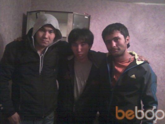 ���������� ������, ���� ������� Archi, 39 ���, ������������ ��� ������, ����� � ���������, c�������� ���������, ���������