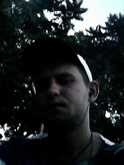  --,    , 37 ,   ,   