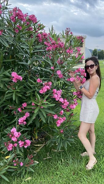  ,   , 28 ,   